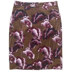 Ann Taylor Floral Skirt Size 10